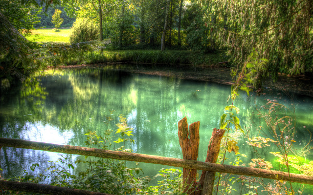 Pond trees fence wooden post free wallpaper for desktop - medium preview image