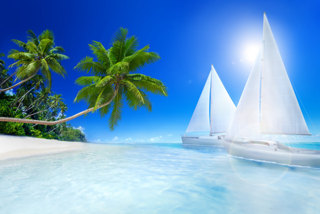 Tropical beach sailboat palm trees free wallpaper for desktop - medium preview image