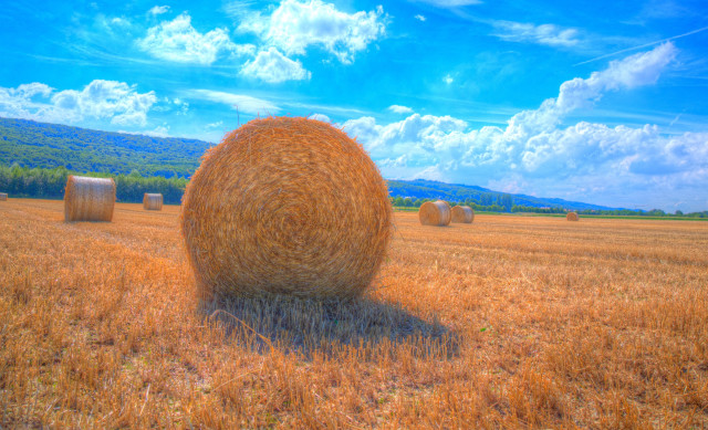 Hay bales field blue sky free wallpaper for desktop - medium preview image
