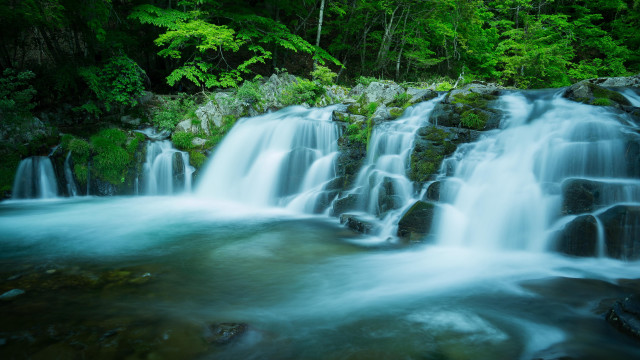 Waterfall forest green trees nature free wallpaper for desktop - medium preview image
