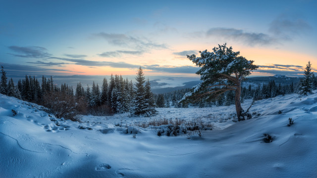Snowy landscape tree sunset clouds #2 free wallpaper for desktop - medium preview image