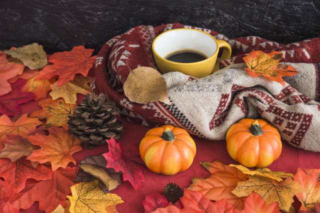 Coffee leaves scarf pinecone autumn free wallpaper for desktop - medium preview image