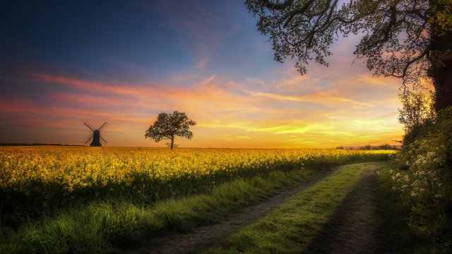 Windmill field path tree sunset free wallpaper for desktop - medium preview image