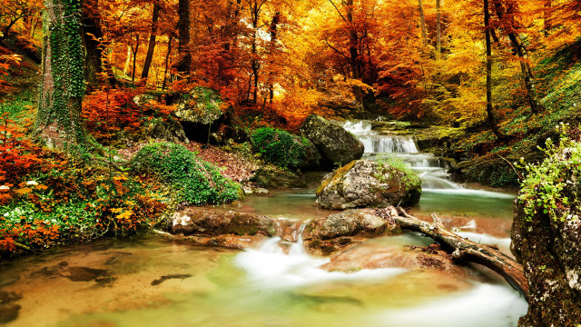 Autumn forest stream waterfall bridge free wallpaper for desktop - medium preview image