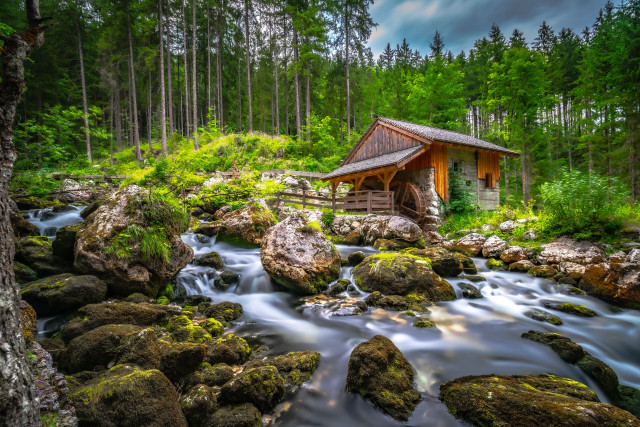 Small cabin overgrown stream bridge free wallpaper for desktop - medium preview image