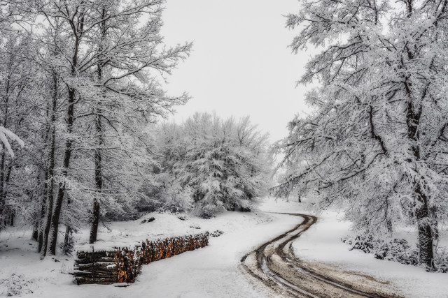 Snowy forest road fence bench free wallpaper for desktop - medium preview image