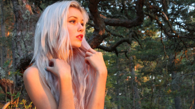 White hair forest autumn nature free wallpaper for desktop - medium preview image