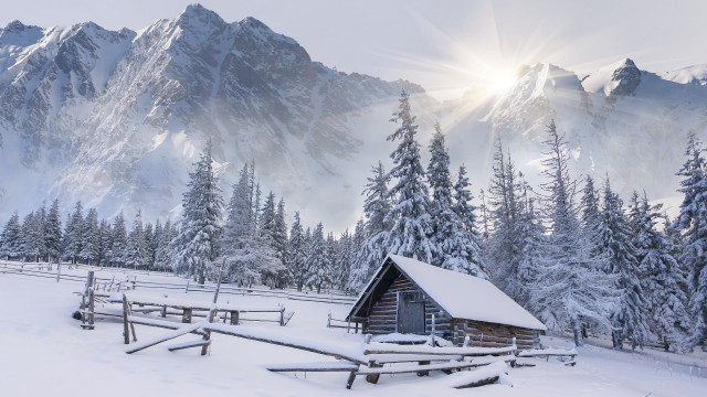 Mountain cabin snow forest sunbeam free wallpaper for desktop - medium preview image