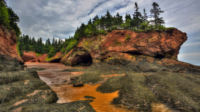 Rocky beach cave trees environmental free wallpaper for desktop - medium preview image