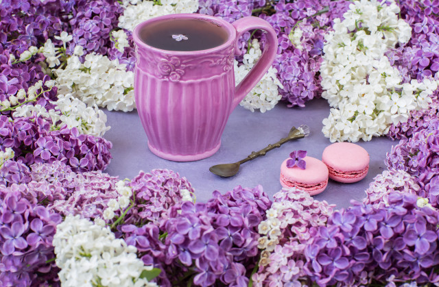 Purple mug macaroons flower bouquet free wallpaper for desktop - medium preview image