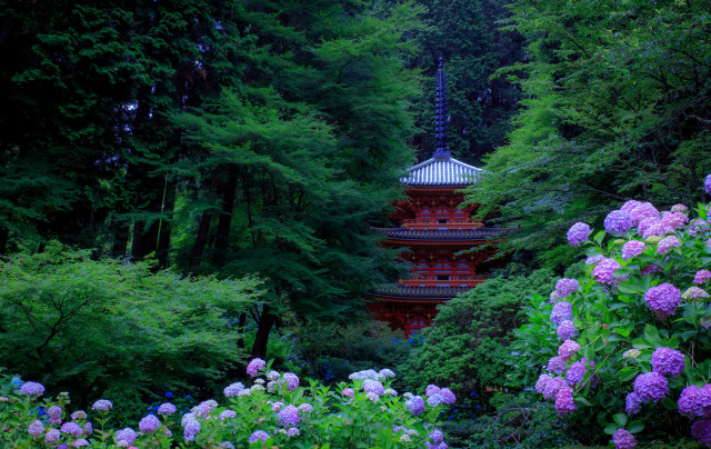 Pagoda forest purple flowers green free wallpaper for desktop - medium preview image