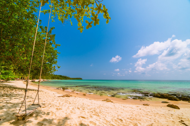 Swing beach ocean tree line free wallpaper for desktop - medium preview image