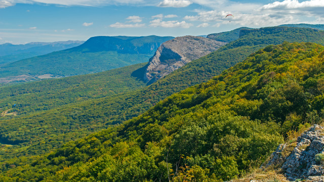 Mountain bird forest panorama sunset free wallpaper for desktop - medium preview image