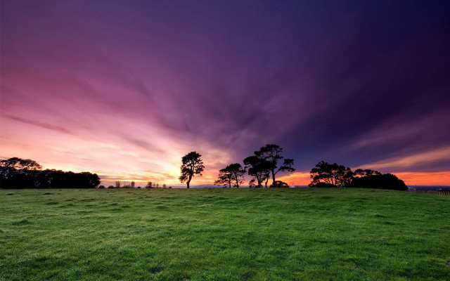 Grassy field trees sunset clouds free wallpaper for desktop - medium preview image