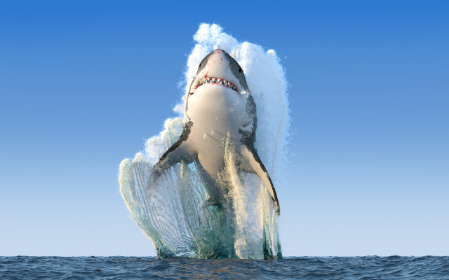 Shark jumping ocean waves blue free wallpaper for desktop - medium preview image