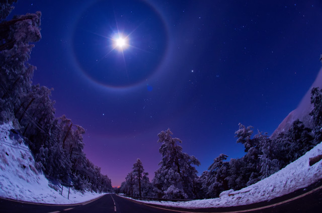 Road star trees snow moon free wallpaper for desktop - medium preview image