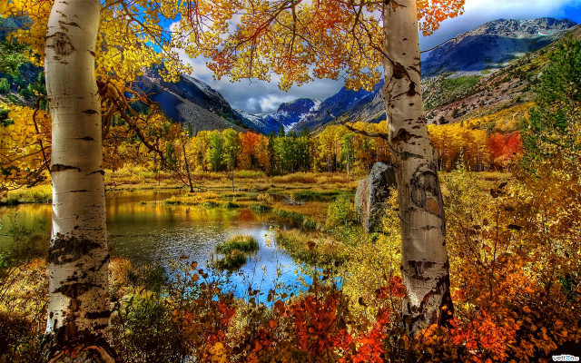 Mountain lake autumn foliage impressionist free wallpaper for desktop - medium preview image