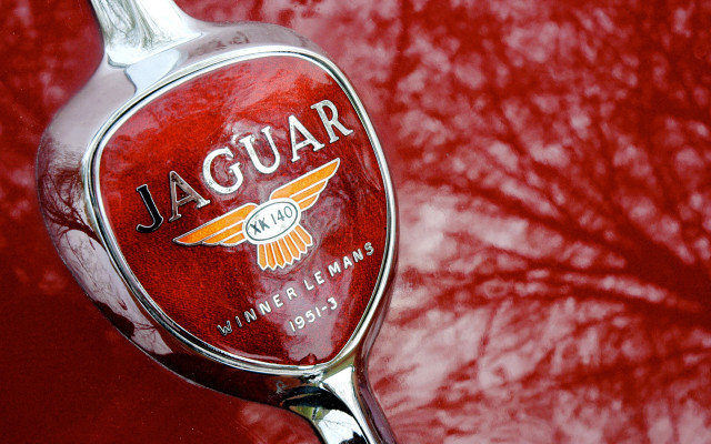 Red spoon trees red moon #2 free wallpaper for desktop - medium preview image