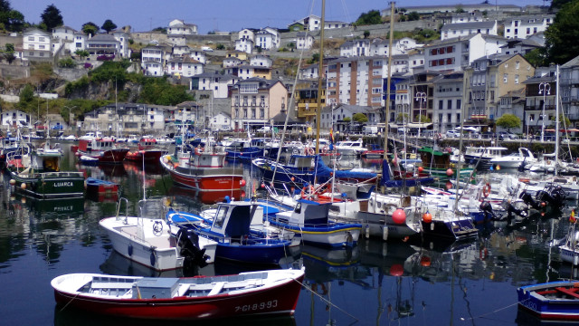 Harbor boats hillside buildings trees #3 free wallpaper for desktop - medium preview image