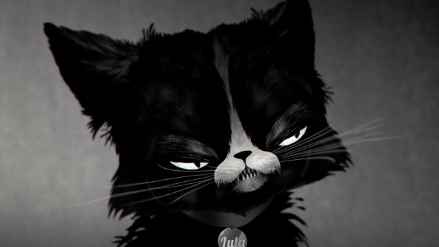 Black white cat microphone mouth free wallpaper for desktop - medium preview image