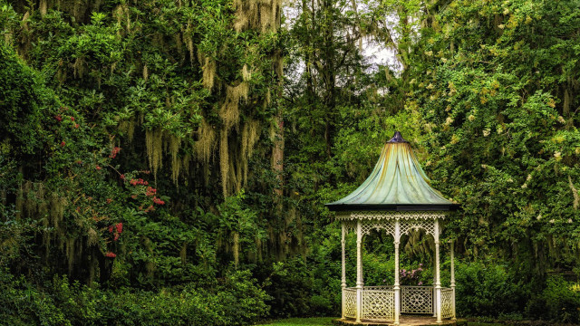 Gazebo park moss trees bench free wallpaper for desktop - medium preview image