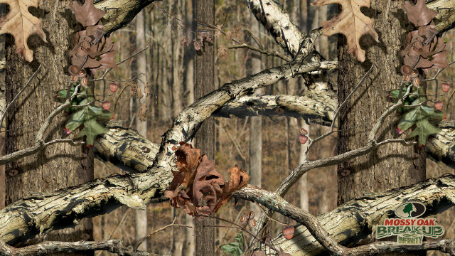 Tree leaves mossy branch background free wallpaper for desktop - medium preview image