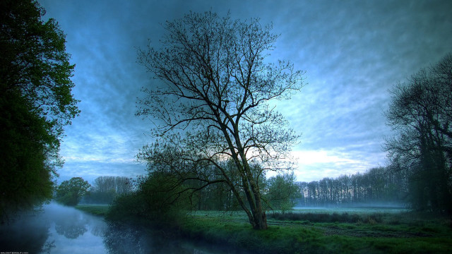 Tree river dusk blue sky #3 free wallpaper for desktop - medium preview image
