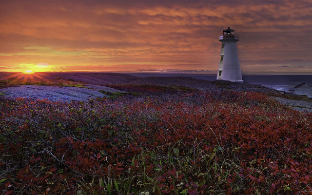 Lighthouse hill sunset flowers foreground free wallpaper for desktop - medium preview image