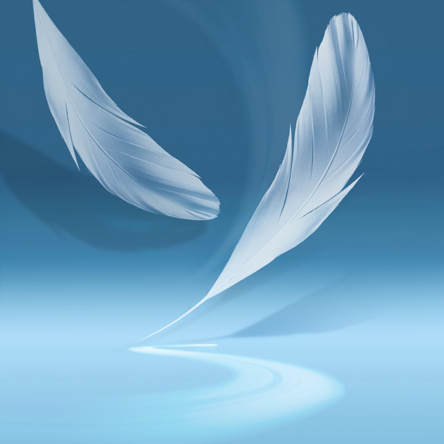 White feather blue surface blue free wallpaper for tablet - medium preview image