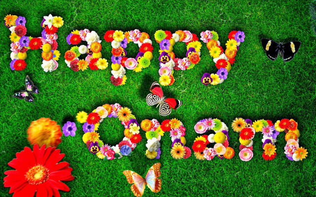 Happy mothers day field flowers free wallpaper for desktop - medium preview image