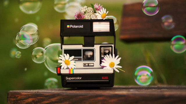 Polaroid camera flower bubbles wooden free wallpaper for desktop - medium preview image