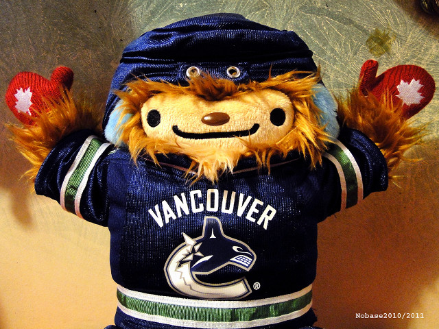 Stuffed animal vancouver hockey jersey free wallpaper for desktop - medium preview image