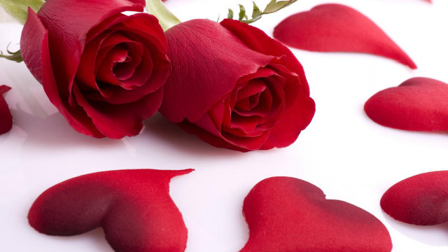 Rose hearts petals white surface free wallpaper for desktop - medium preview image