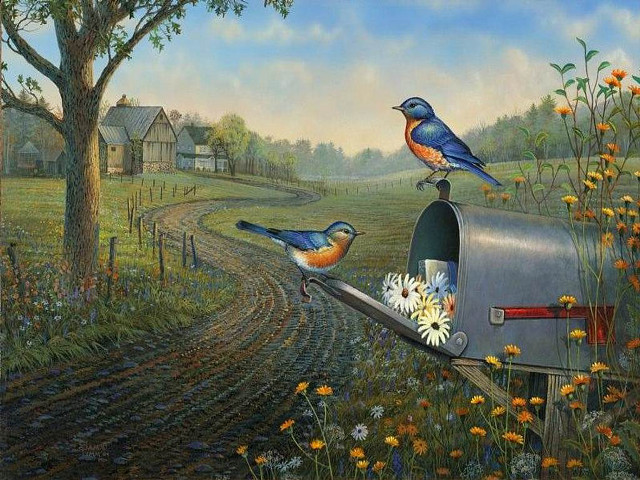 Birds mailbox field flowers tree free wallpaper for desktop - medium preview image