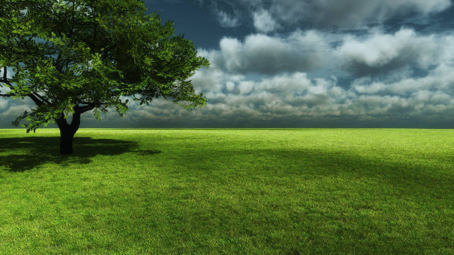 Tree field cloudy sky green #5 free wallpaper for desktop - medium preview image