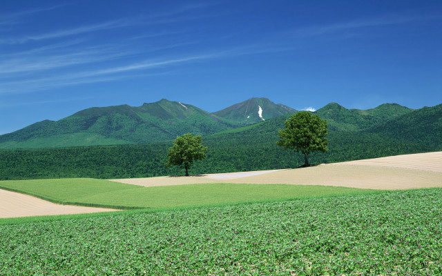 Field trees mountains blue sky free wallpaper for desktop - medium preview image