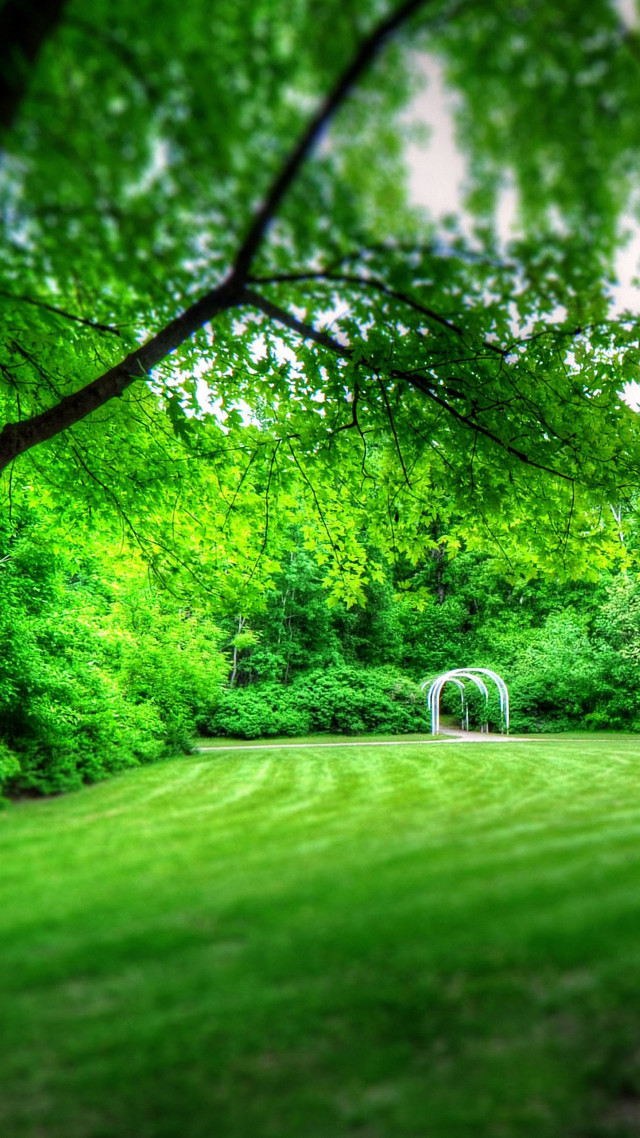 Green field white bench trees free wallpaper for mobile - medium preview image