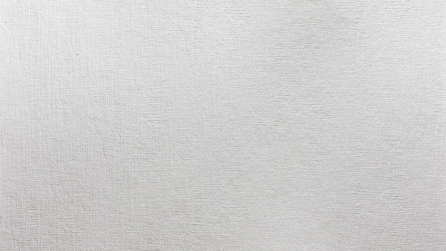 White wall black white cat #3 free wallpaper for desktop - medium preview image