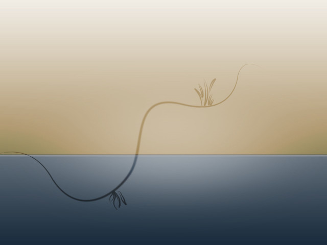 Plant water stem tail string free wallpaper for desktop - medium preview image