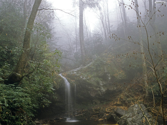 Waterfall forest fog trees yellow free wallpaper for desktop - medium preview image