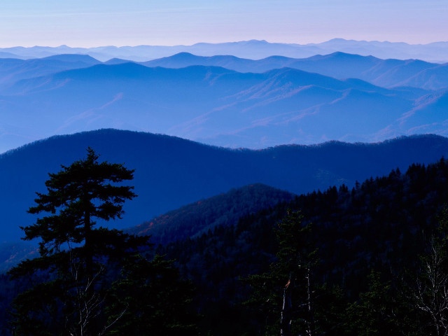 Mountain range tree blue sky free wallpaper for desktop - medium preview image