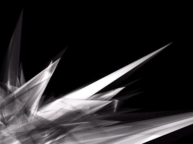 Black white bird wings spread free wallpaper for desktop - medium preview image