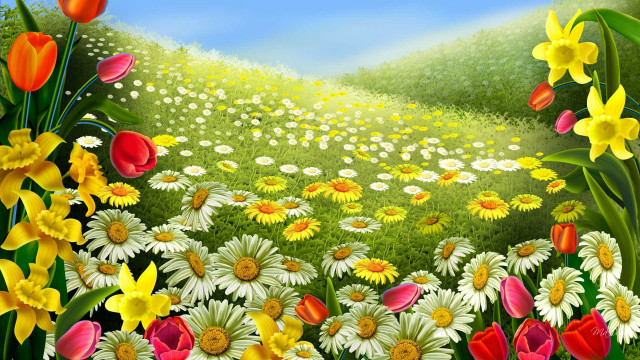 Field of flowers sky background #2 free wallpaper for desktop - medium preview image