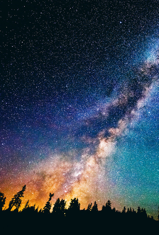 Night sky trees stars blue free wallpaper for mobile - medium preview image