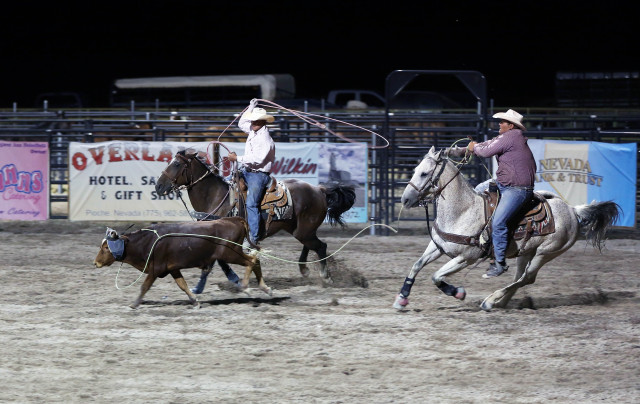 Rodeo night horses cattle western free wallpaper for desktop - medium preview image
