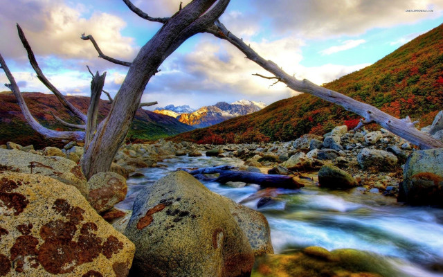 River lush forest rocks trees #2 free wallpaper for desktop - medium preview image