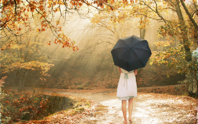 Woman walking path umbrella woods free wallpaper for desktop - medium preview image