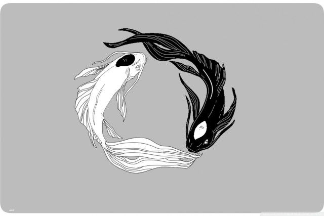 Black white drawing two fish free wallpaper for desktop - medium preview image