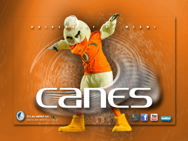 Mascot parody green eyes hoodie free wallpaper for desktop - medium preview image