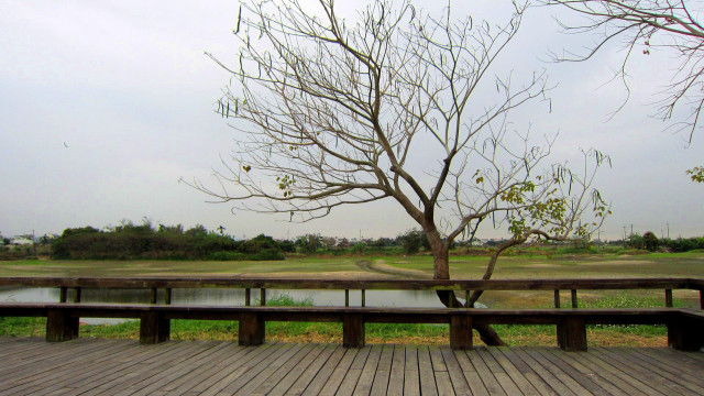 Tree lake deck autumn bench free wallpaper for desktop - medium preview image